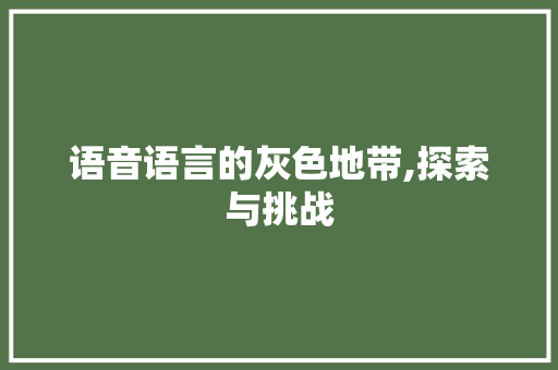 语音语言的灰色地带,探索与挑战
