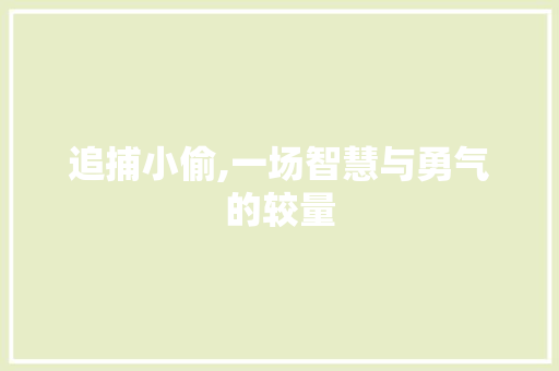 追捕小偷,一场智慧与勇气的较量