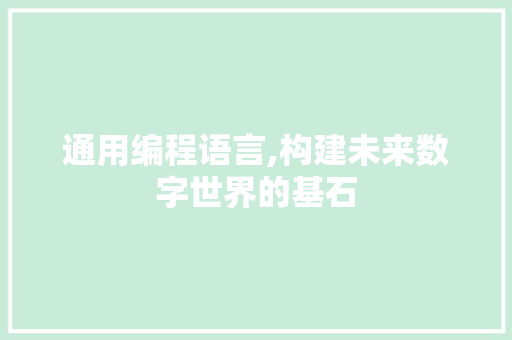 通用编程语言,构建未来数字世界的基石