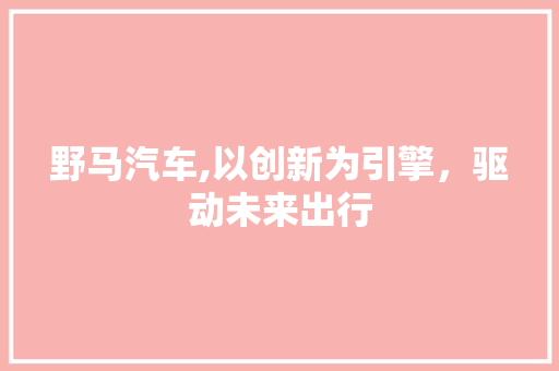 野马汽车,以创新为引擎，驱动未来出行