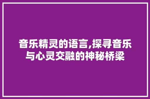 音乐精灵的语言,探寻音乐与心灵交融的神秘桥梁