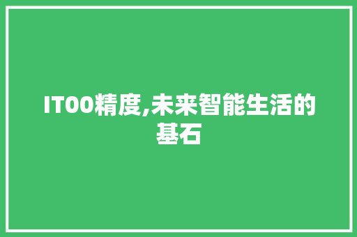 IT00精度,未来智能生活的基石
