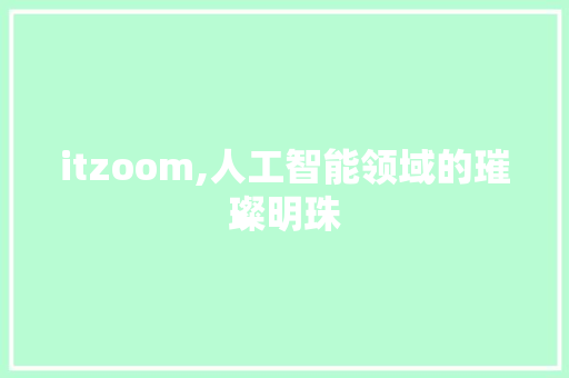 itzoom,人工智能领域的璀璨明珠