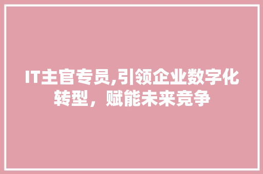 IT主官专员,引领企业数字化转型，赋能未来竞争