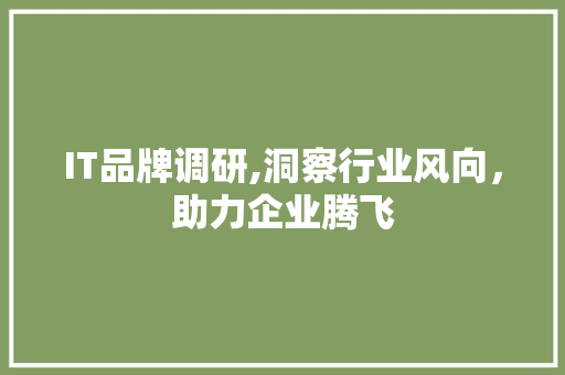 IT品牌调研,洞察行业风向，助力企业腾飞