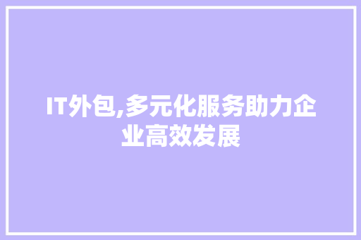IT外包,多元化服务助力企业高效发展
