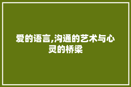 爱的语言,沟通的艺术与心灵的桥梁