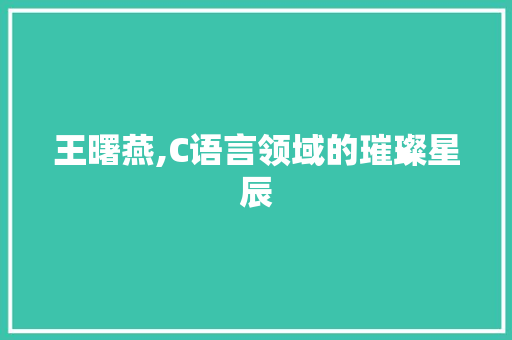王曙燕,C语言领域的璀璨星辰