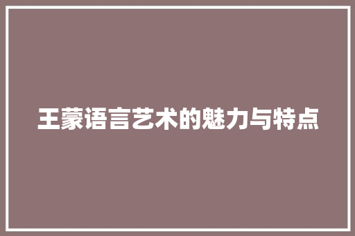 王蒙语言艺术的魅力与特点