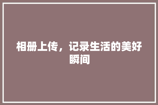 相册上传，记录生活的美好瞬间
