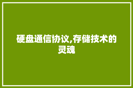 硬盘通信协议,存储技术的灵魂