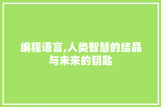 编程语言,人类智慧的结晶与未来的钥匙