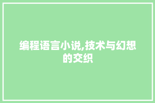 编程语言小说,技术与幻想的交织