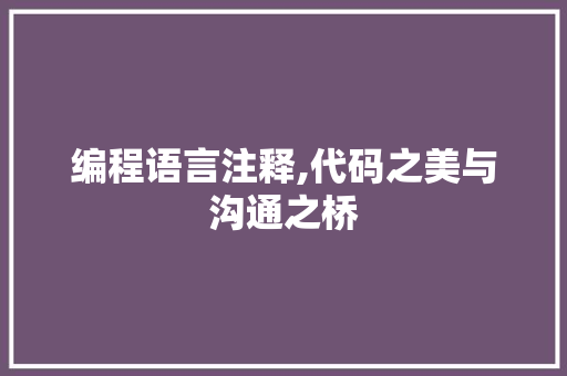 编程语言注释,代码之美与沟通之桥