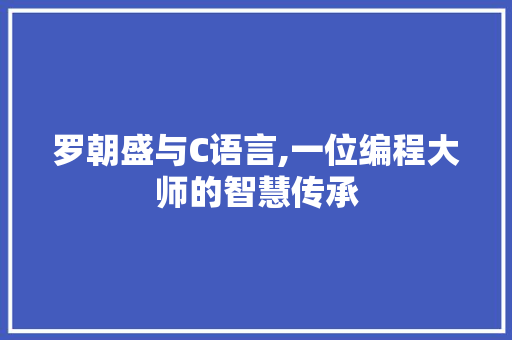 罗朝盛与C语言,一位编程大师的智慧传承