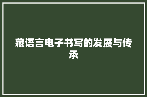 藏语言电子书写的发展与传承