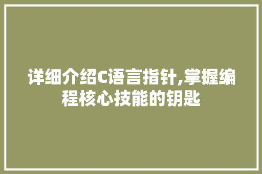 详细介绍C语言指针,掌握编程核心技能的钥匙