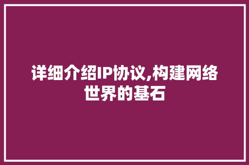 详细介绍IP协议,构建网络世界的基石