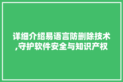 详细介绍易语言防删除技术,守护软件安全与知识产权的坚实壁垒