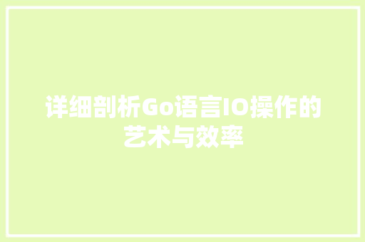 详细剖析Go语言IO操作的艺术与效率