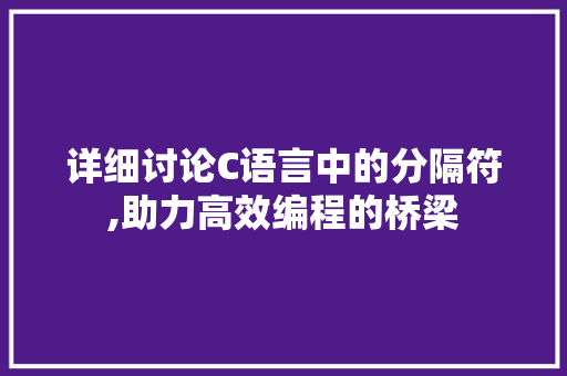 详细讨论C语言中的分隔符,助力高效编程的桥梁