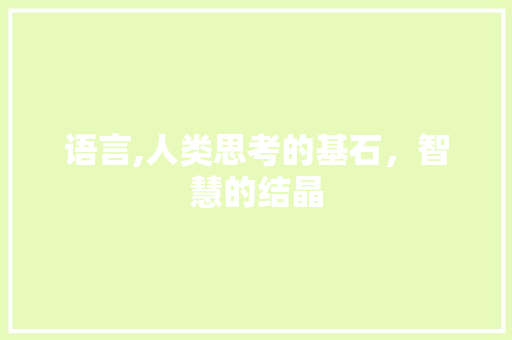 语言,人类思考的基石，智慧的结晶