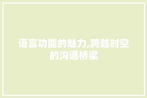 语言功能的魅力,跨越时空的沟通桥梁
