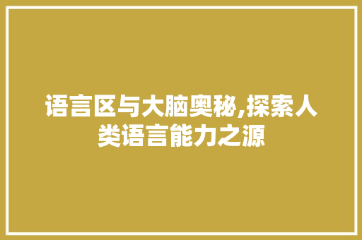 语言区与大脑奥秘,探索人类语言能力之源