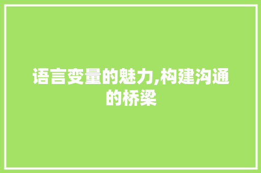 语言变量的魅力,构建沟通的桥梁