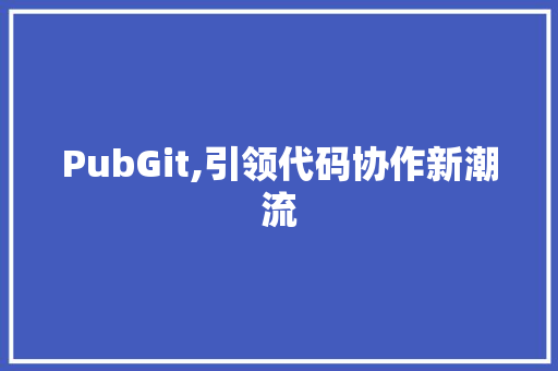 PubGit,引领代码协作新潮流