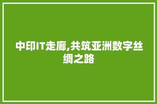 中印IT走廊,共筑亚洲数字丝绸之路
