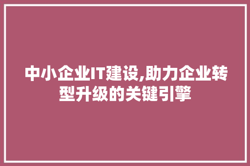 中小企业IT建设,助力企业转型升级的关键引擎