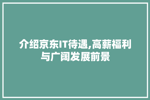 介绍京东IT待遇,高薪福利与广阔发展前景