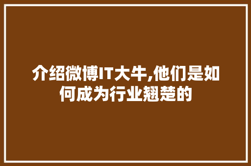 介绍微博IT大牛,他们是如何成为行业翘楚的