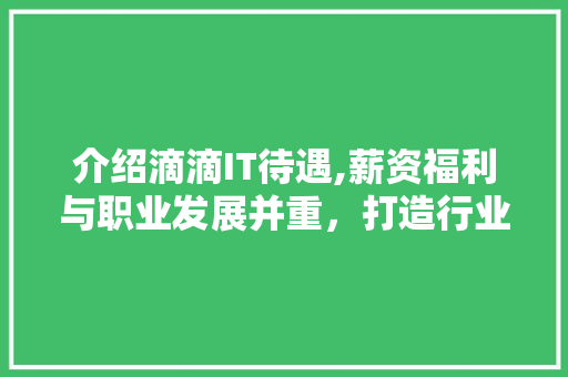 介绍滴滴IT待遇,薪资福利与职业发展并重，打造行业标杆
