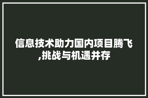 信息技术助力国内项目腾飞,挑战与机遇并存