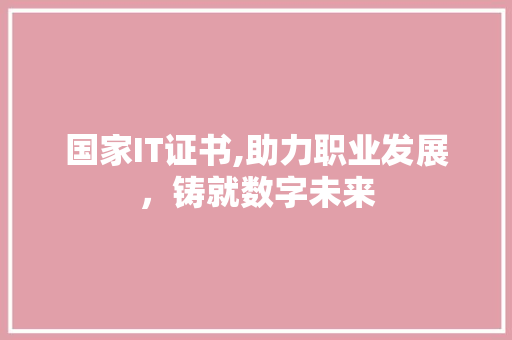 国家IT证书,助力职业发展，铸就数字未来