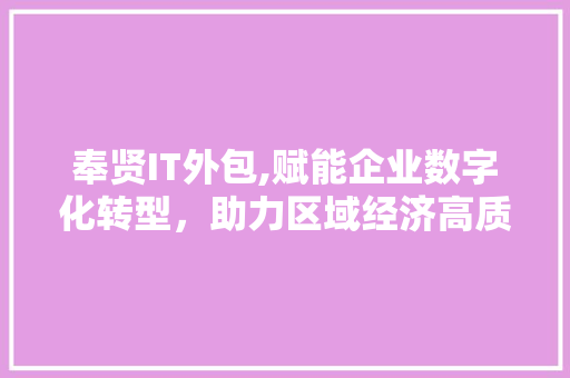 奉贤IT外包,赋能企业数字化转型，助力区域经济高质量发展
