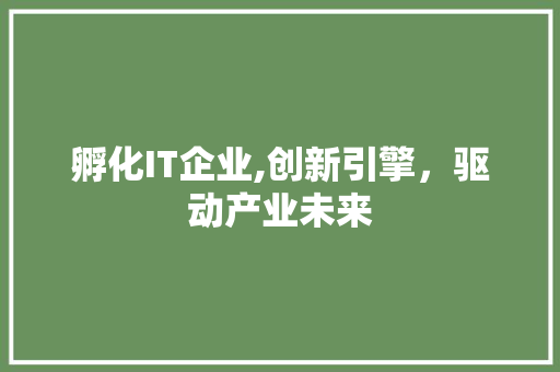 孵化IT企业,创新引擎，驱动产业未来