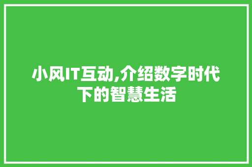 小风IT互动,介绍数字时代下的智慧生活