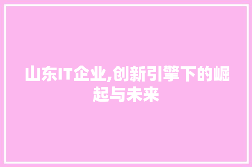 山东IT企业,创新引擎下的崛起与未来