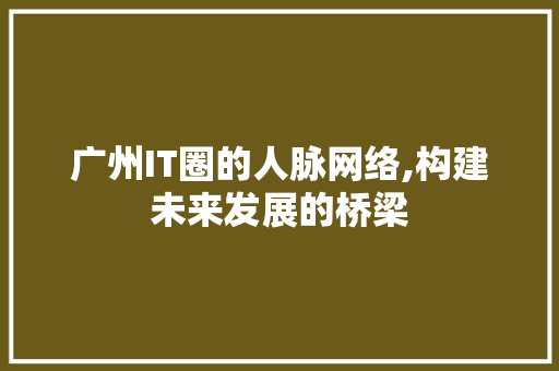 广州IT圈的人脉网络,构建未来发展的桥梁