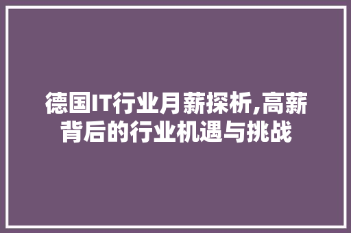 德国IT行业月薪探析,高薪背后的行业机遇与挑战
