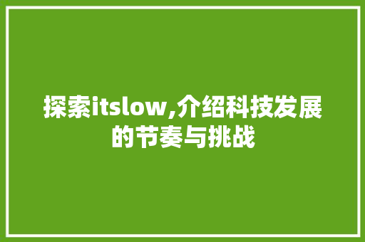 探索itslow,介绍科技发展的节奏与挑战