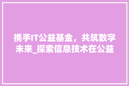 携手IT公益基金，共筑数字未来_探索信息技术在公益领域的创新应用