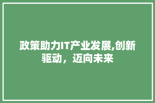 政策助力IT产业发展,创新驱动，迈向未来