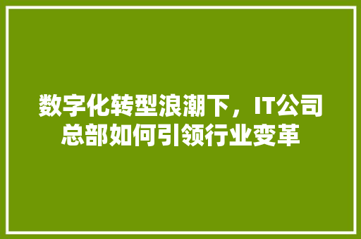 数字化转型浪潮下，IT公司总部如何引领行业变革
