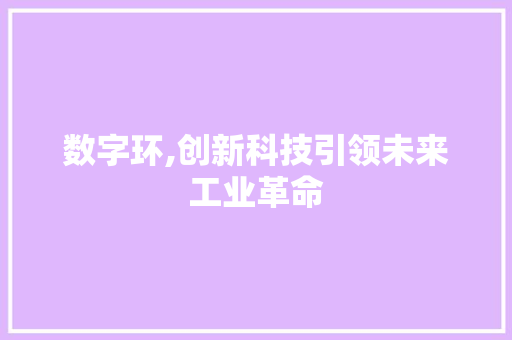 数字环,创新科技引领未来工业革命