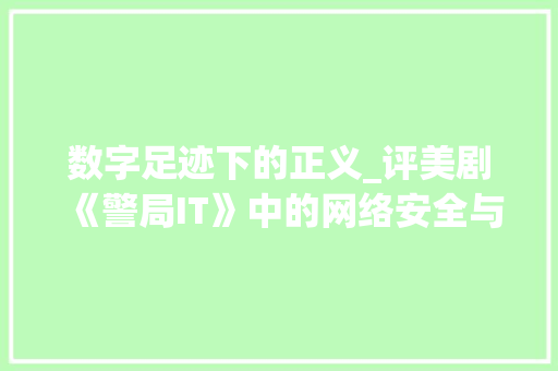 数字足迹下的正义_评美剧《警局IT》中的网络安全与警探智慧