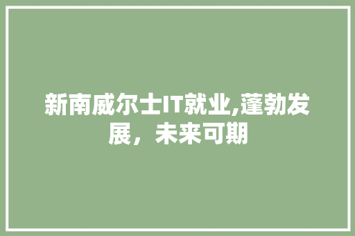 新南威尔士IT就业,蓬勃发展，未来可期